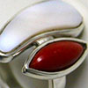 anillo2