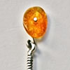 broche
